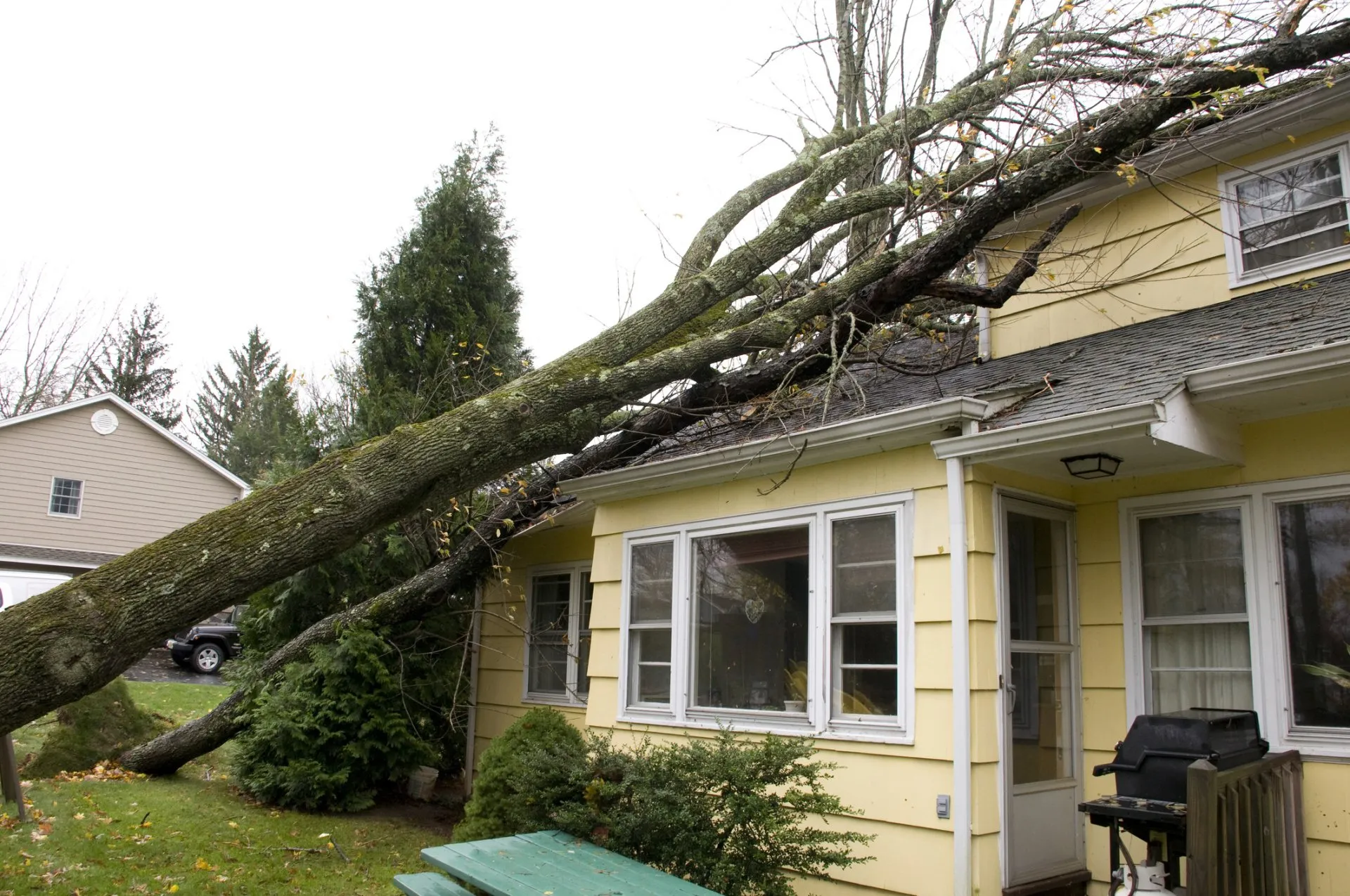 Trusted Storm Damage Restoration Company in Westphalia, MD